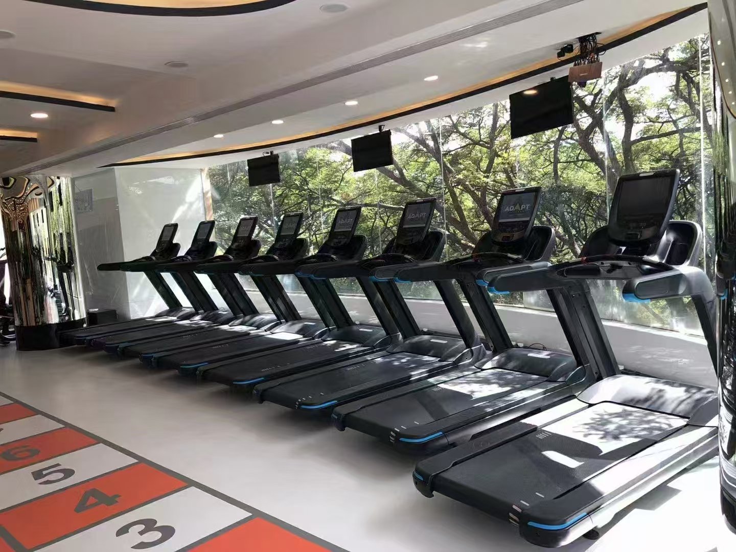 Treadmill Factory Whtiby Choosing the Best Treadmill: Brands, Manufacturing Origins, and Usage ...