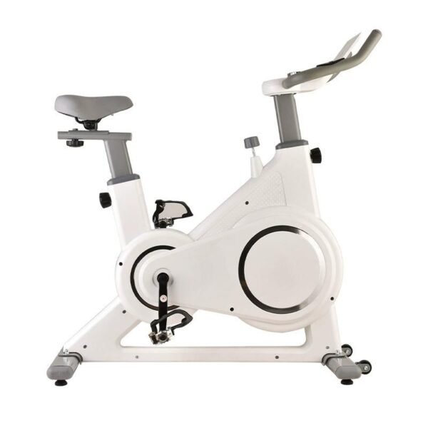 Professional flywheel bike - 图片 7