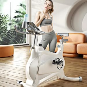Professional flywheel bike