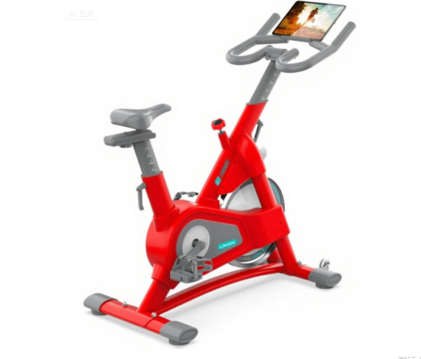 Professional Spin Bikes with Dual Link Pedals - Studio Experience