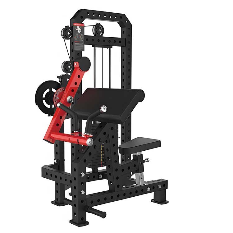 Biceps & Triceps Extension