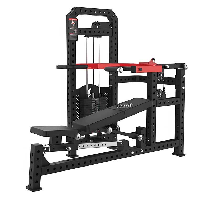 Biceps & Triceps Extension