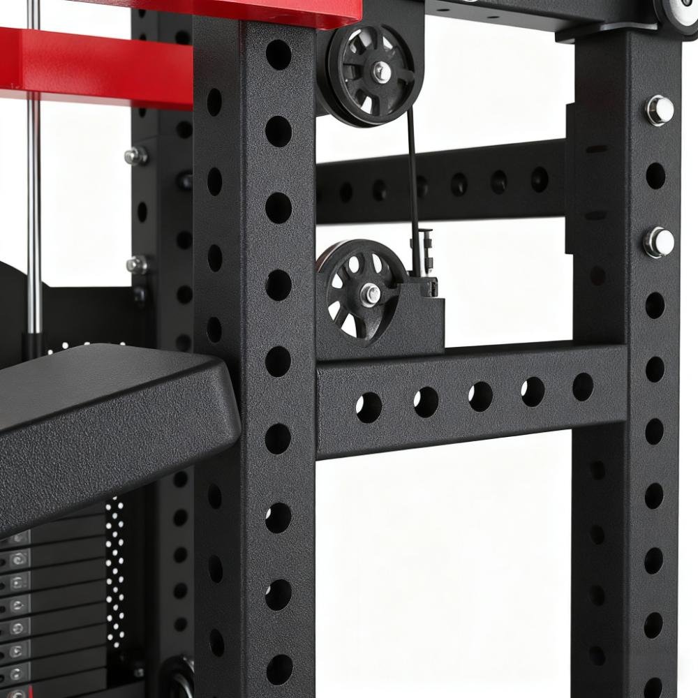 Biceps & Triceps Extension - 图片 6